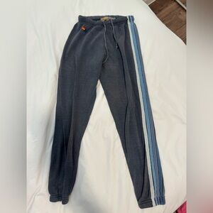 Aviator Nation Charcoal Joggers with Blue Stripes